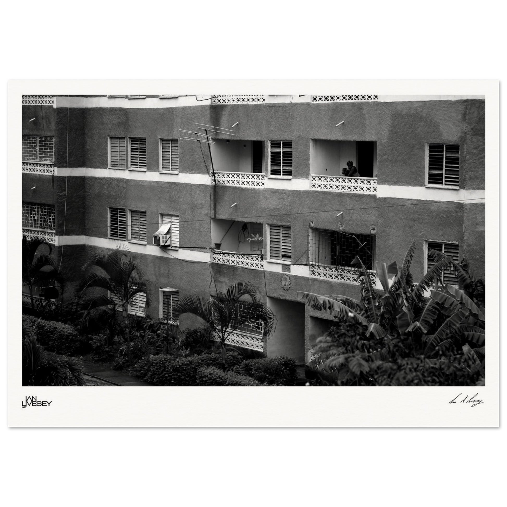 033925bd-f8e5-4144-838a-f20f13393ab1