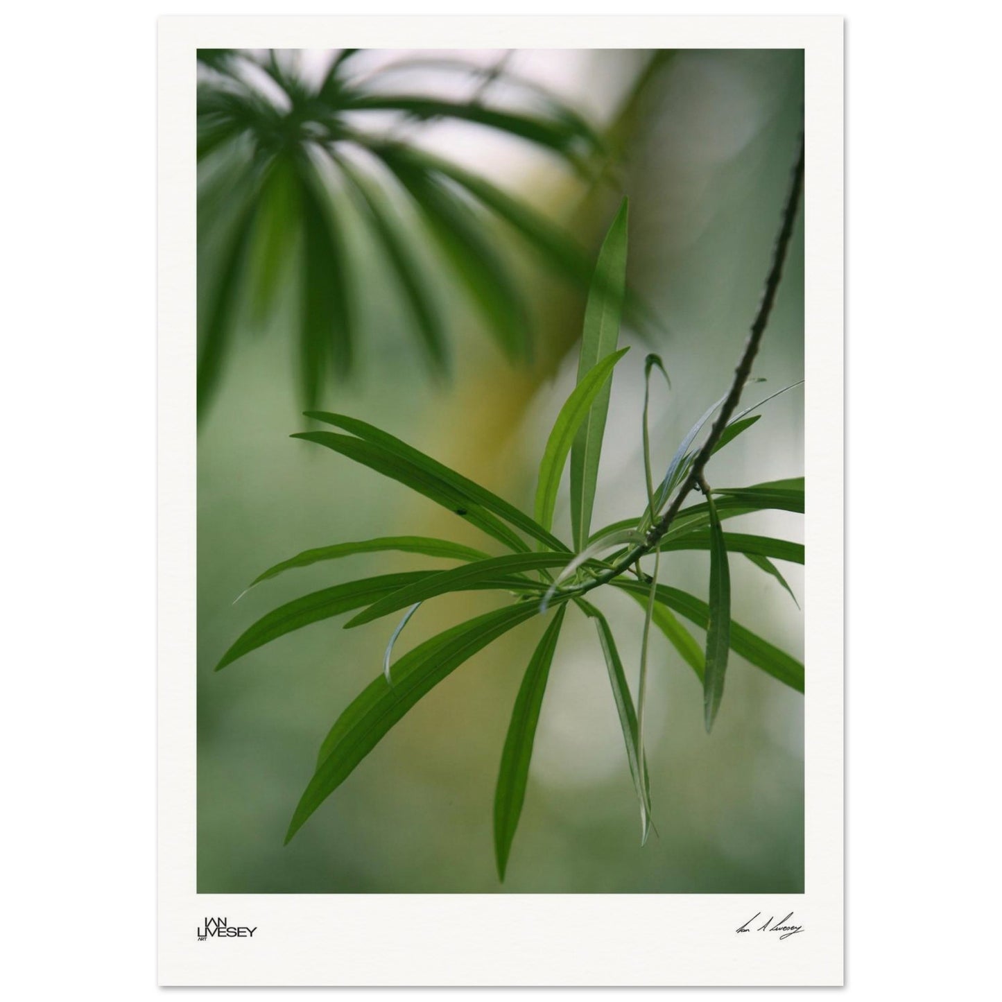 276eb128-0f48-4787-98bf-cd9f3c4e0038