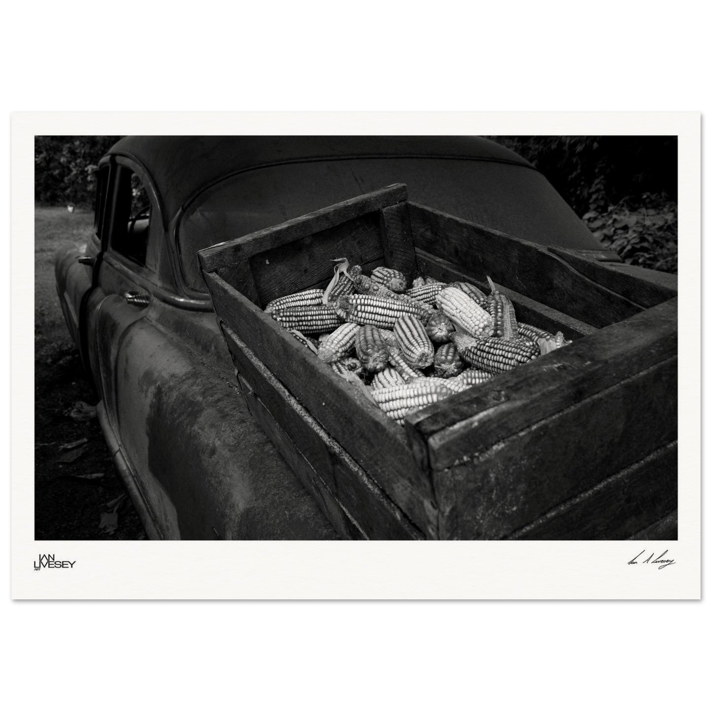 5c605613-6579-4aaa-8caa-07d75a02cc17