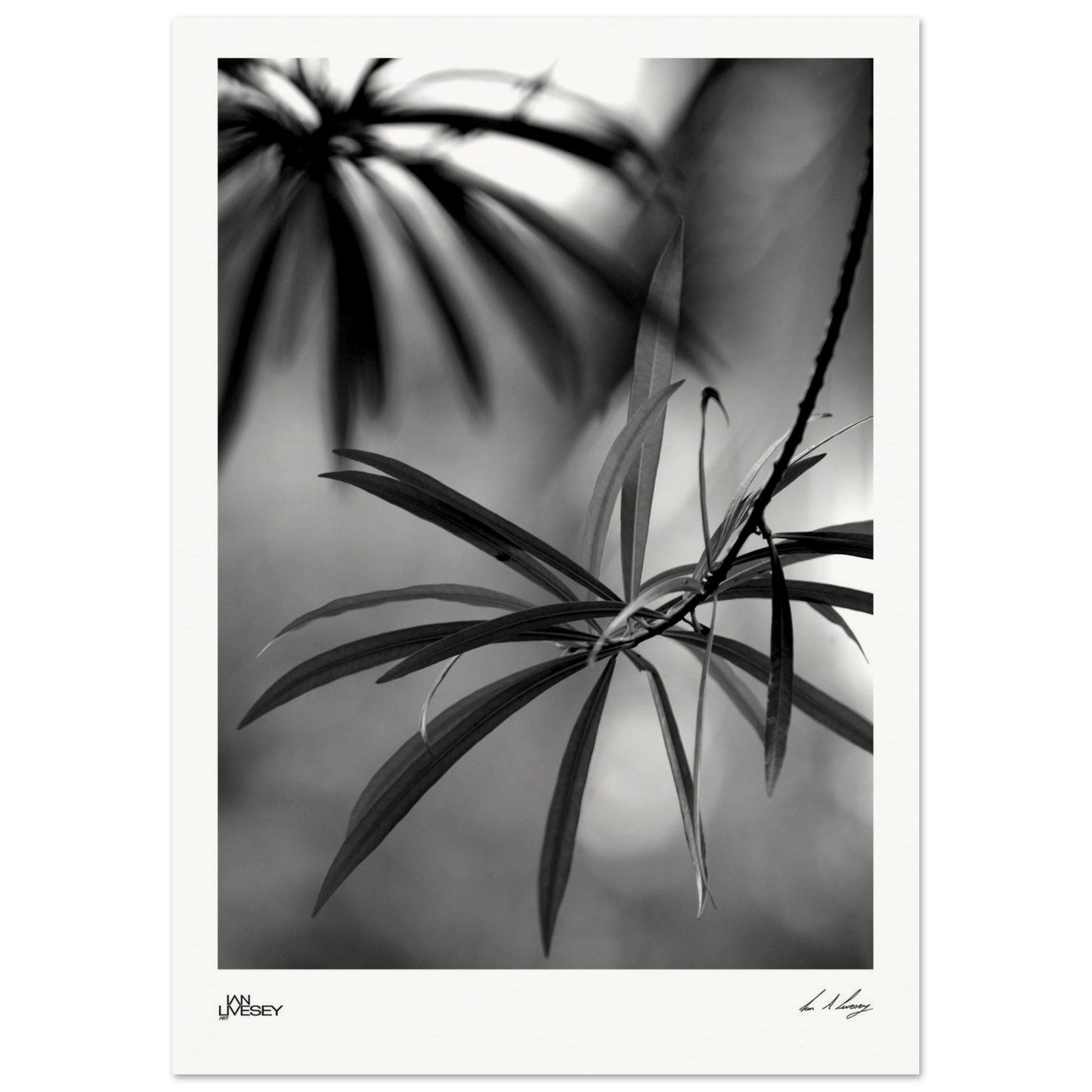 5ff90266-b4e7-4774-82b4-6d99018ca7ba