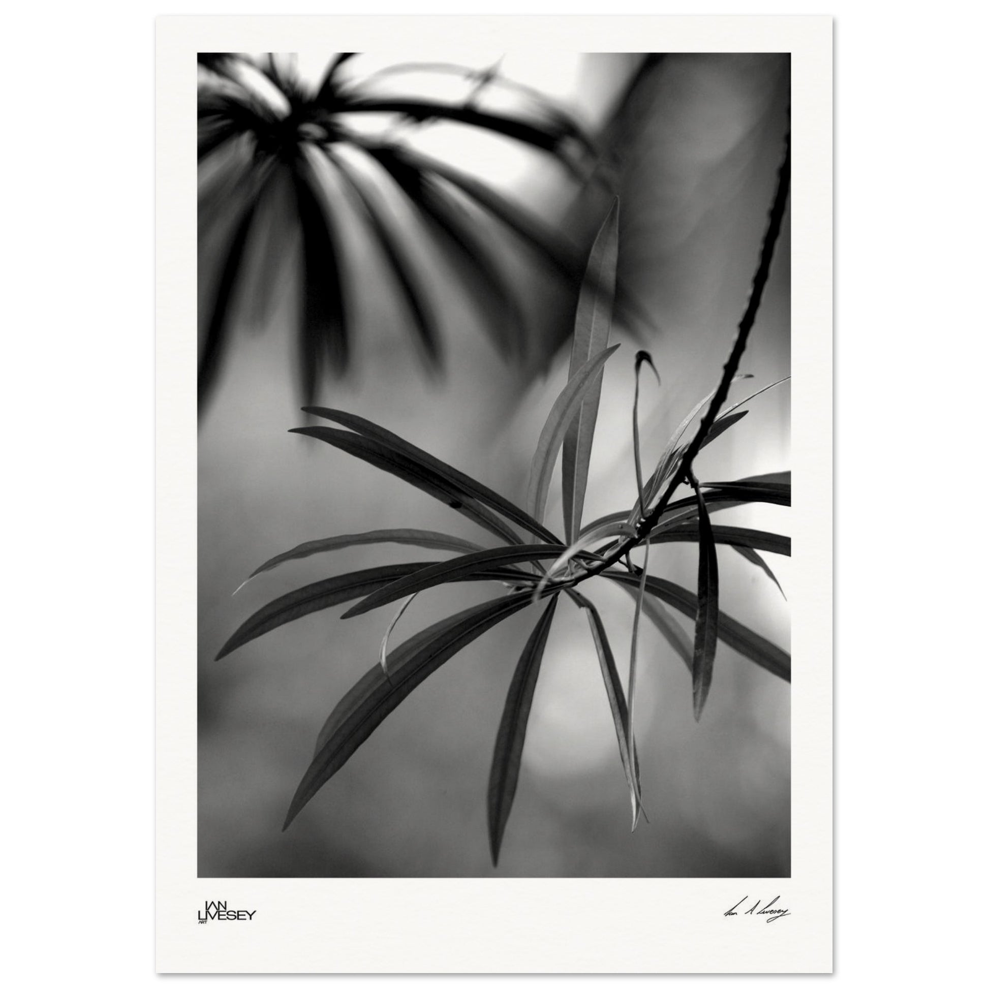 5ff90266-b4e7-4774-82b4-6d99018ca7ba