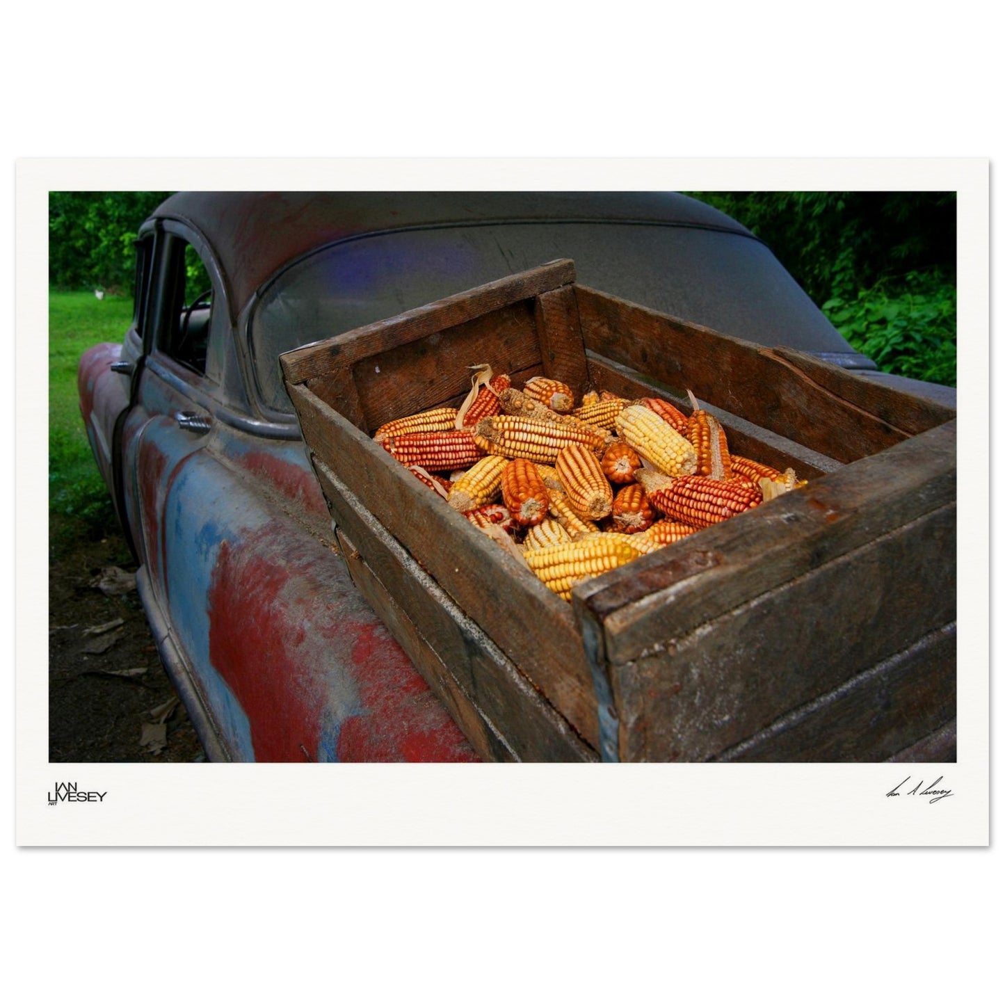 62d12224-66d5-46bc-9ad6-fce2fab4544a