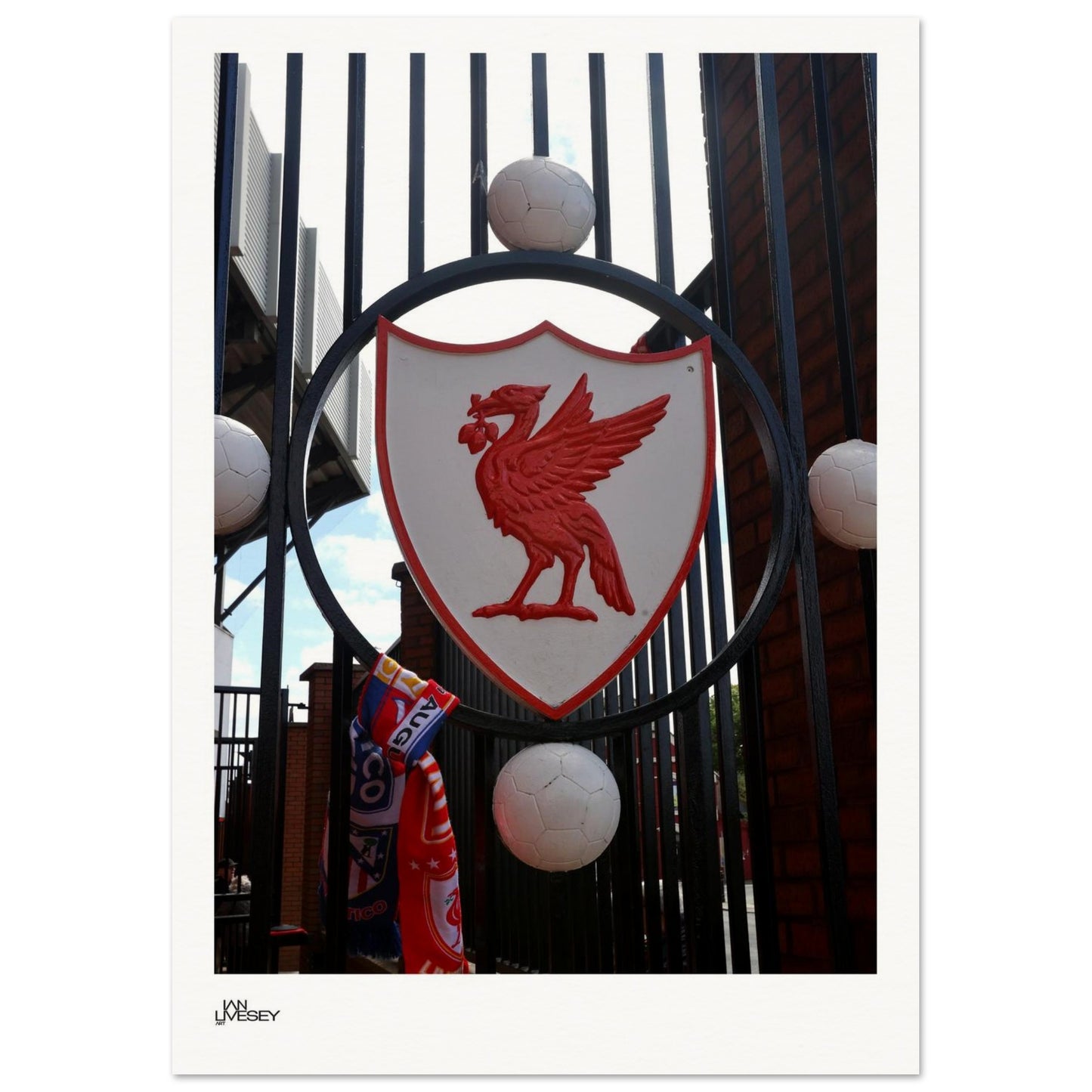 6f356931-6d16-4241-b6b3-94e7bcda8353