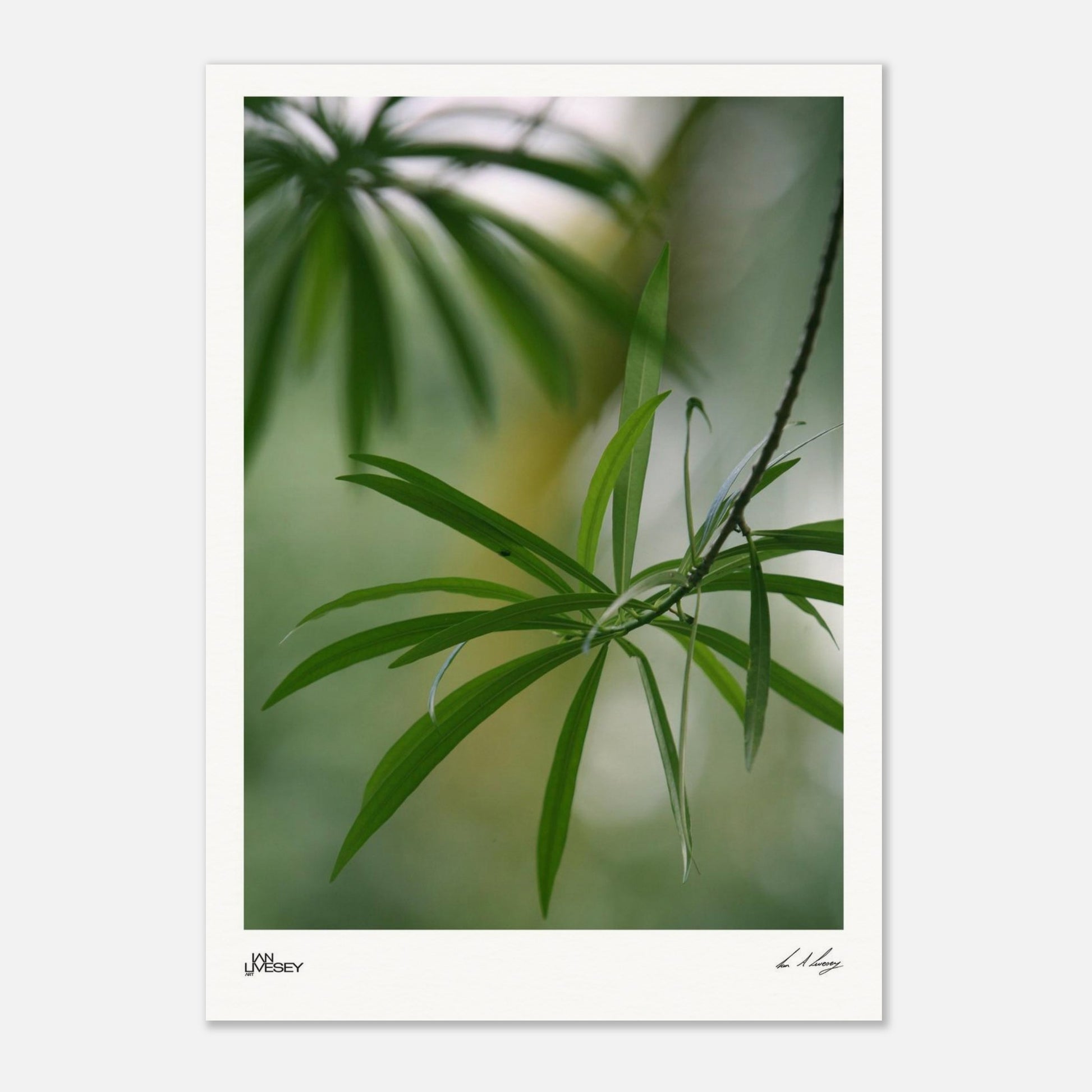 6f951721-d308-4861-affa-a2af39f1a645