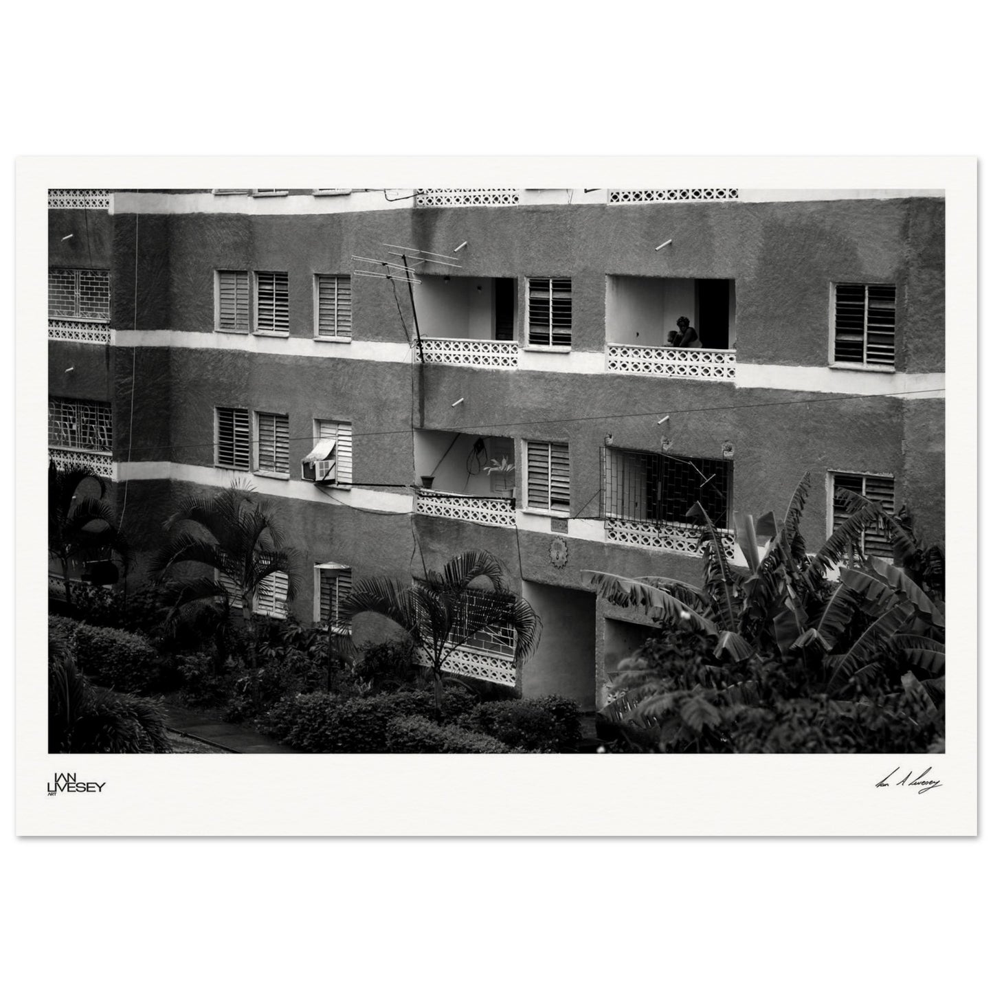 706d7148-8e65-4fc1-bea5-e842b63ad7d2