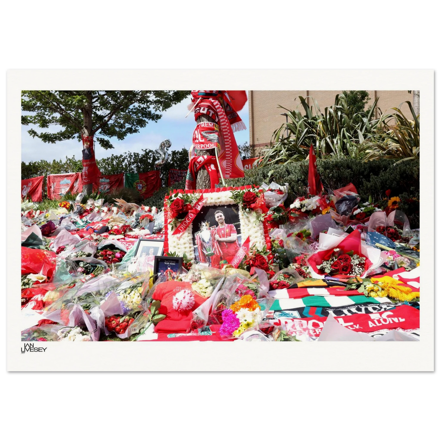 8b20b111-8c43-4ad9-aded-9eae31336f6b