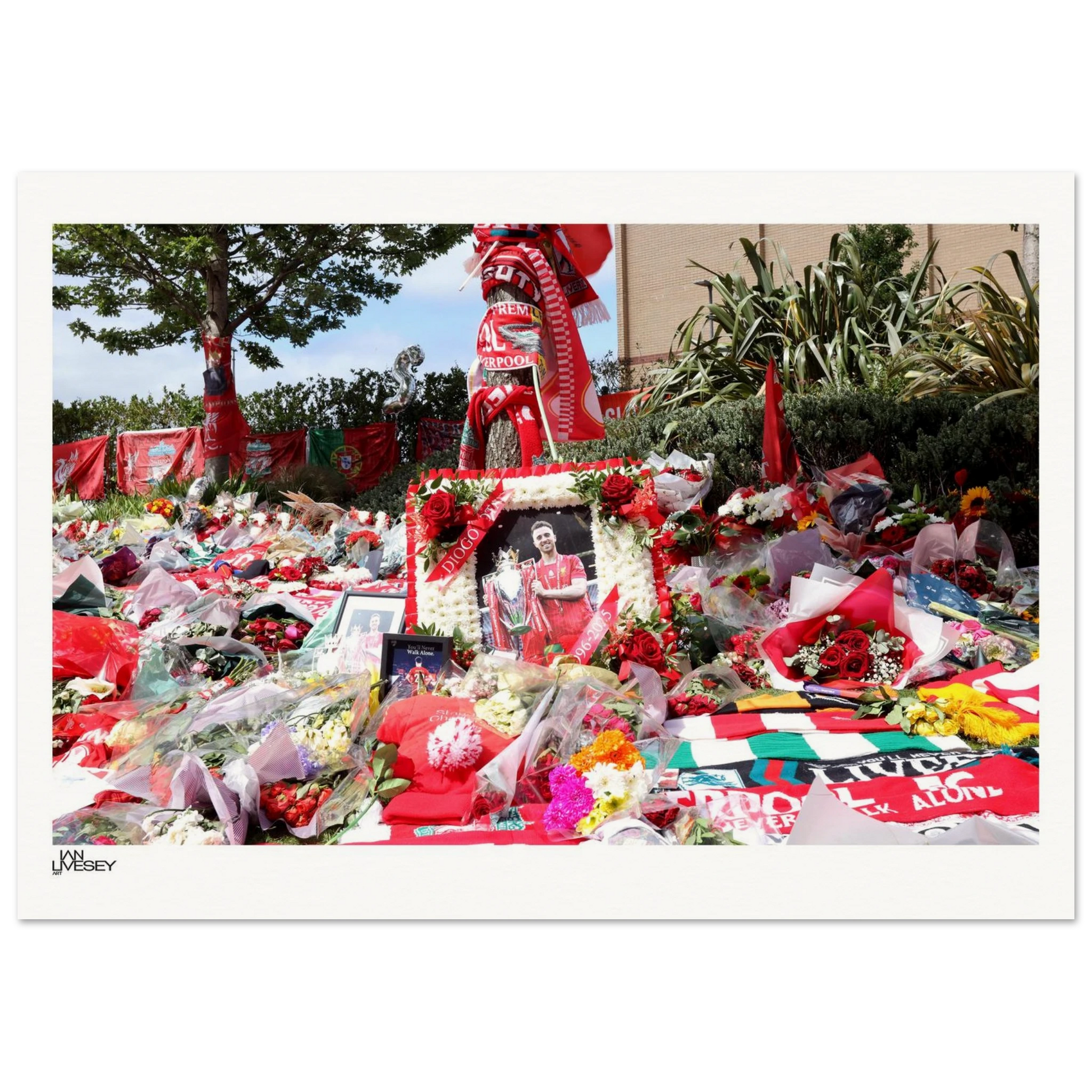 8b20b111-8c43-4ad9-aded-9eae31336f6b