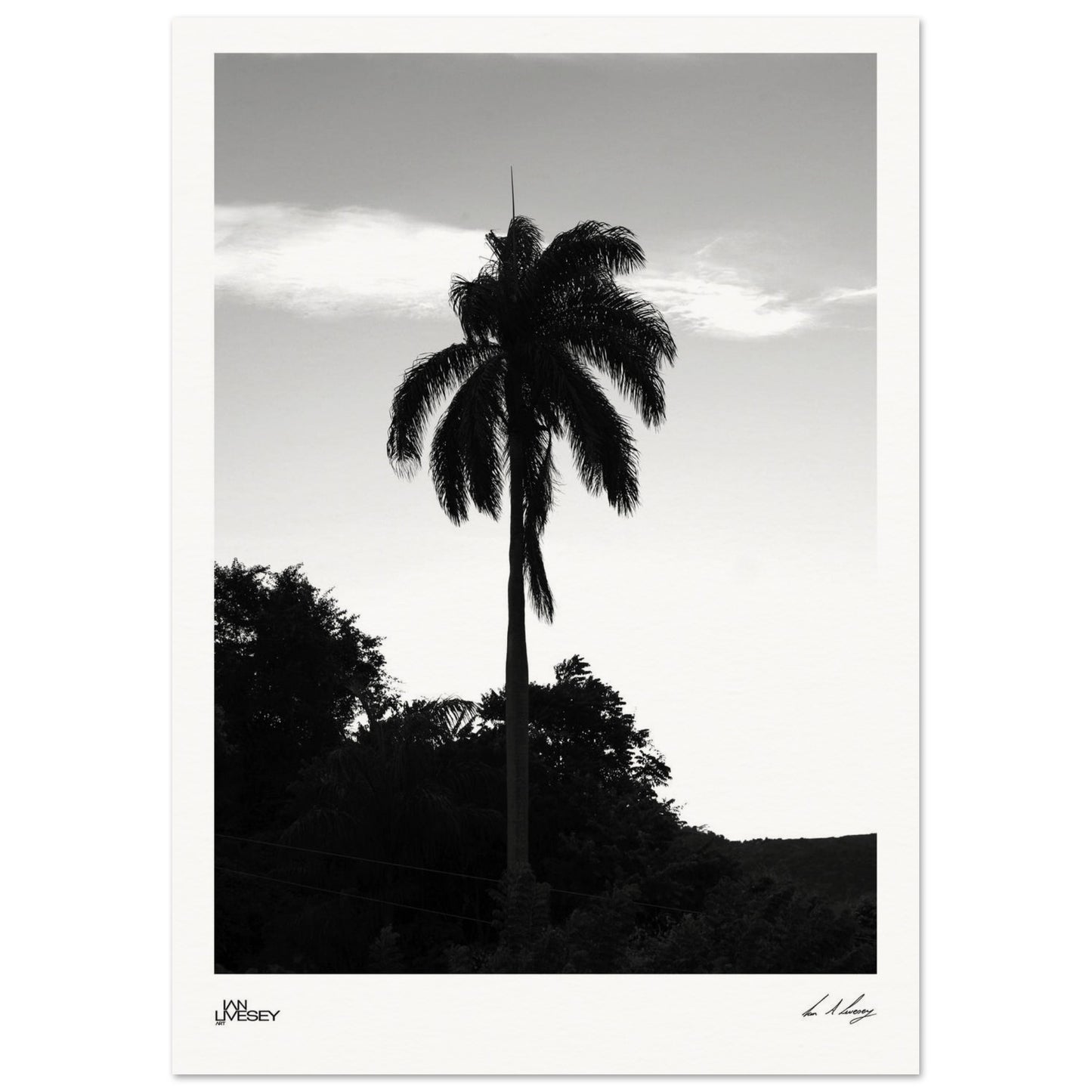 8c3ab8d3-6013-4999-81db-de8b4d3d5b10