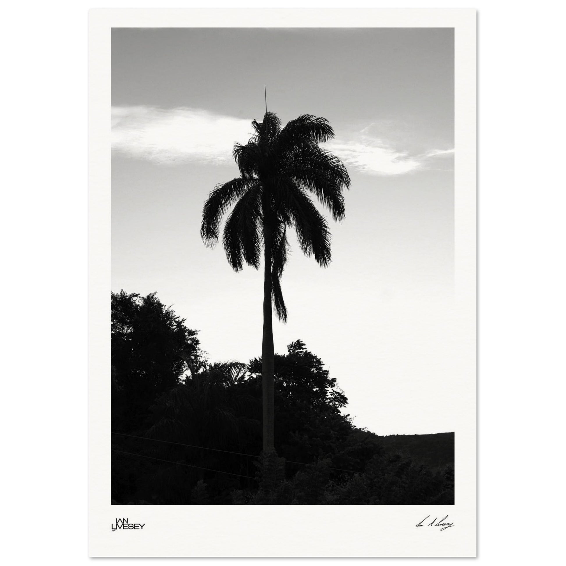 8c3ab8d3-6013-4999-81db-de8b4d3d5b10