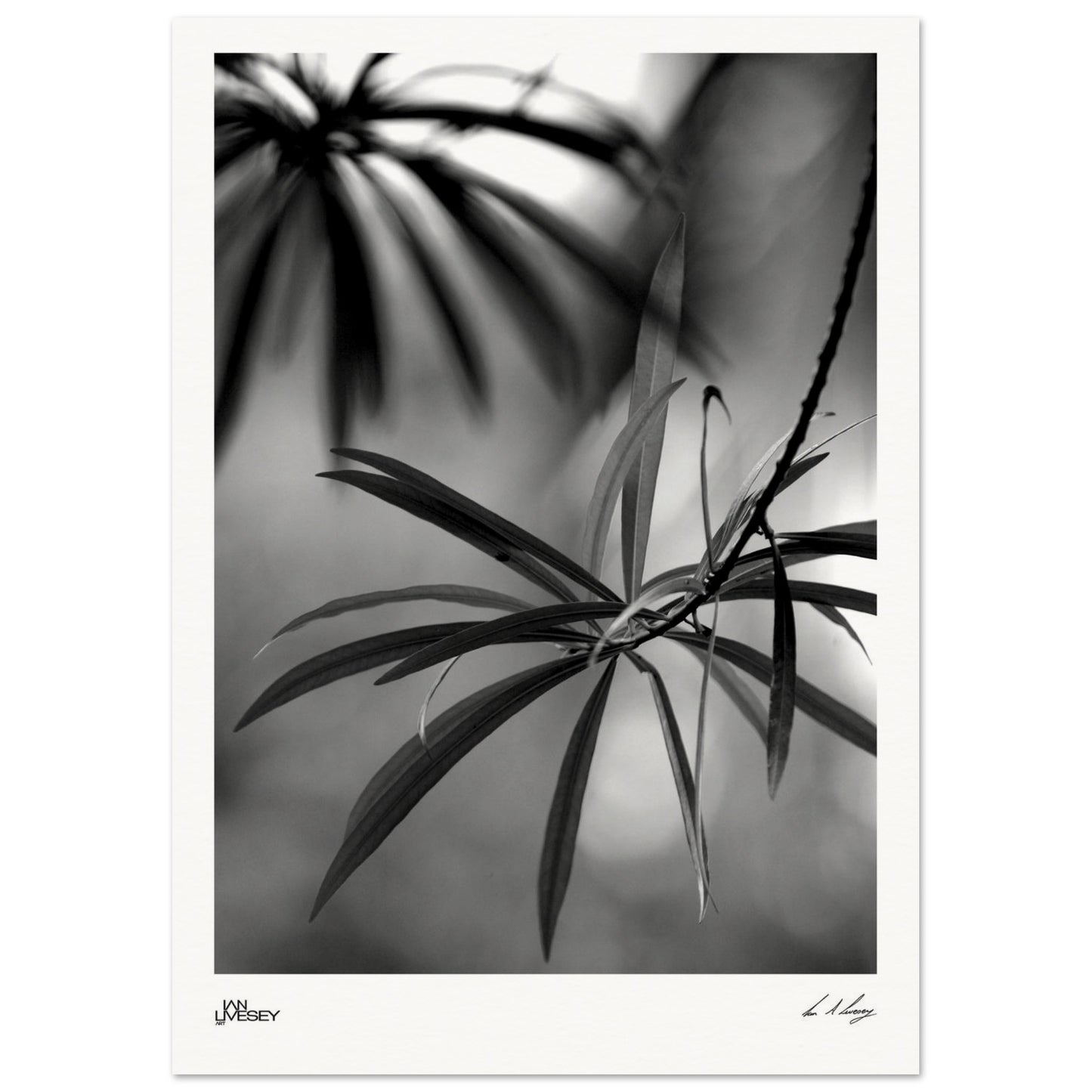 971655cd-1902-4f98-bdae-4e70108022d3