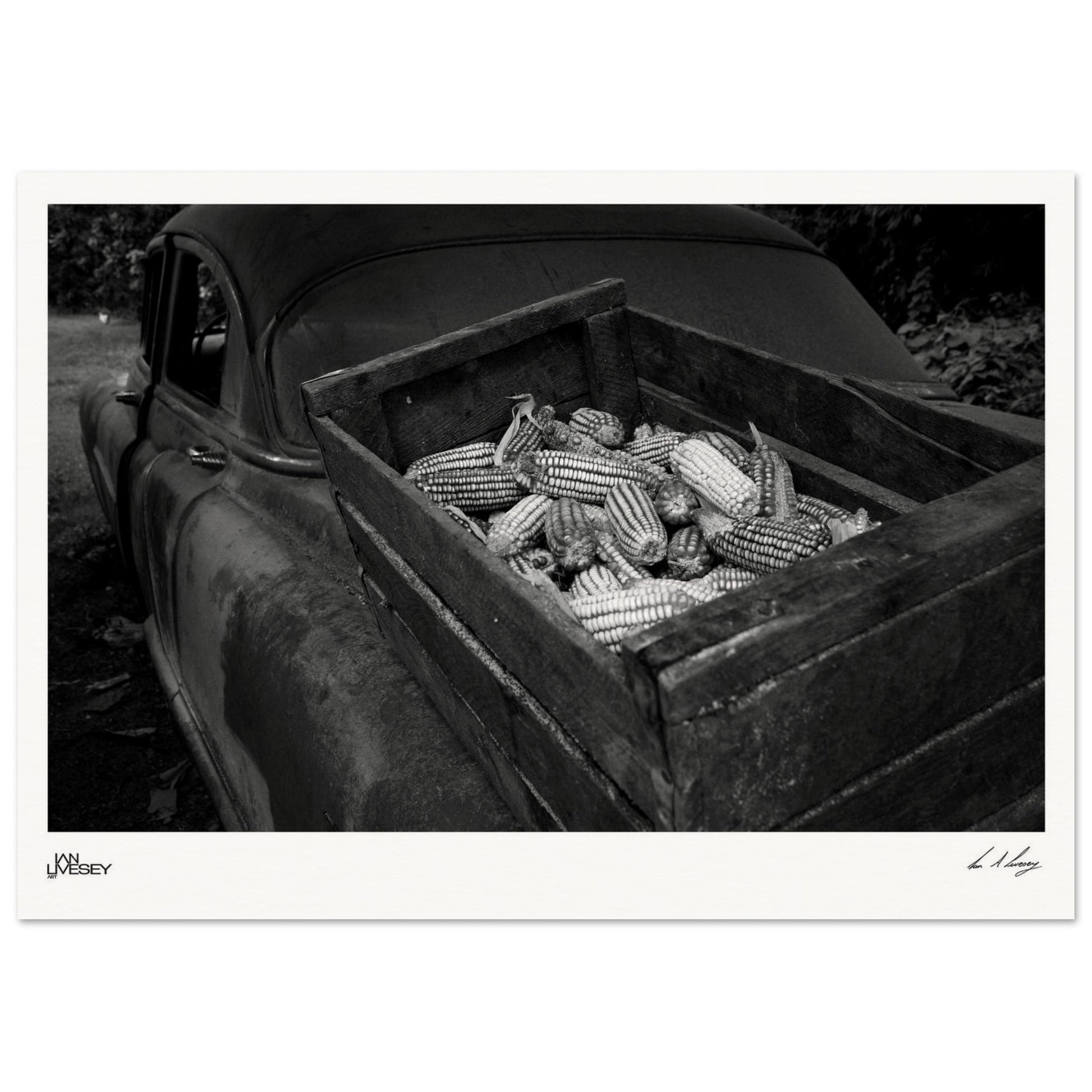 9f688b66-fff1-49e5-970b-458ec11f7d3c