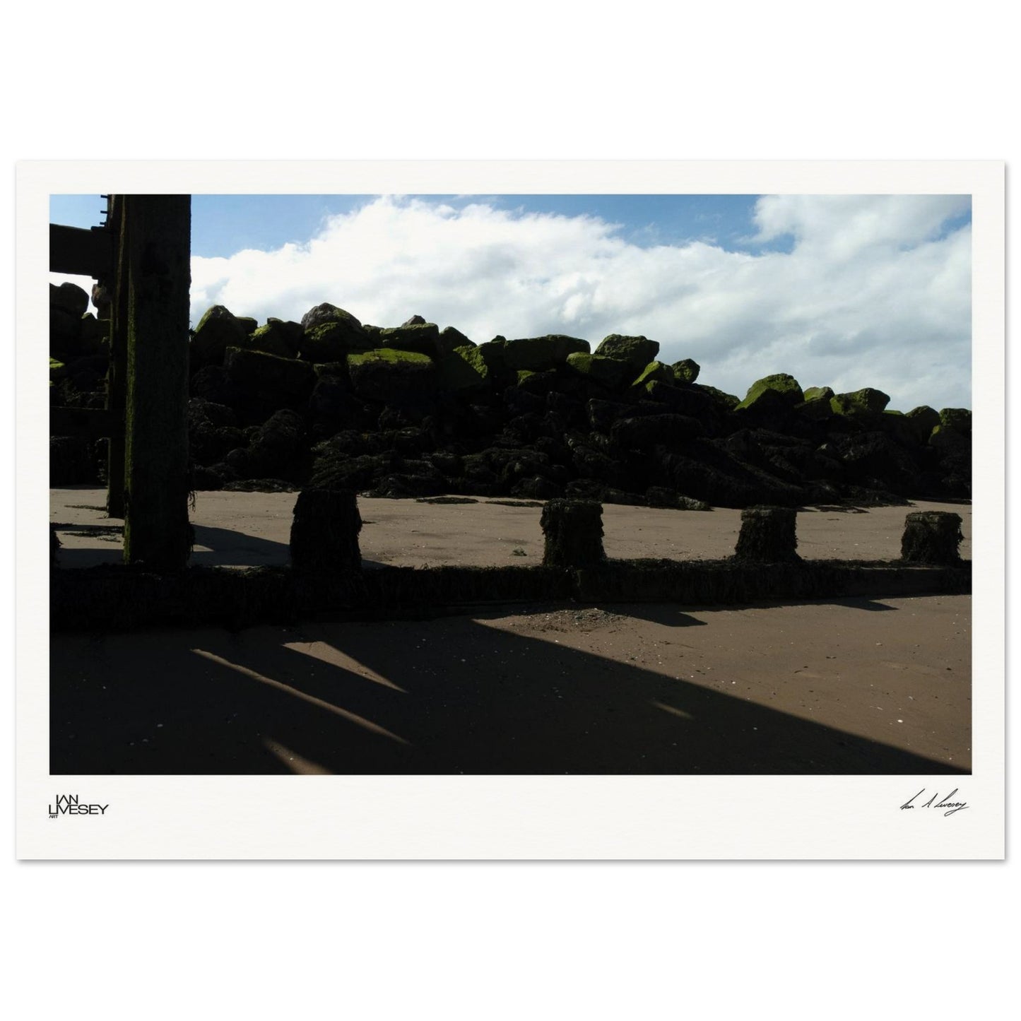 c1062ad4-6e5e-4db8-8035-79d081b98e3a