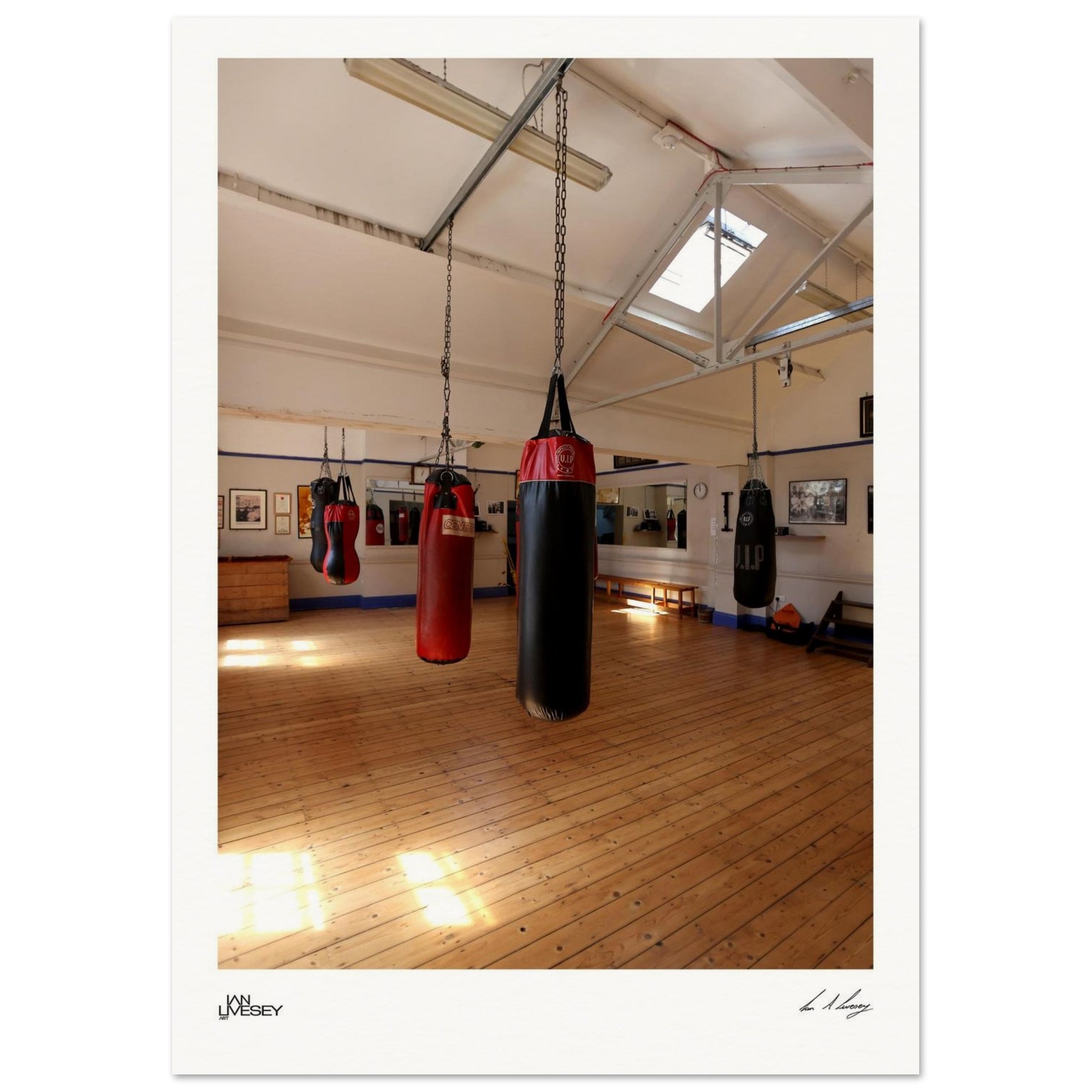 dc40b955-09f9-49c5-8e0e-170b6cc6a69a