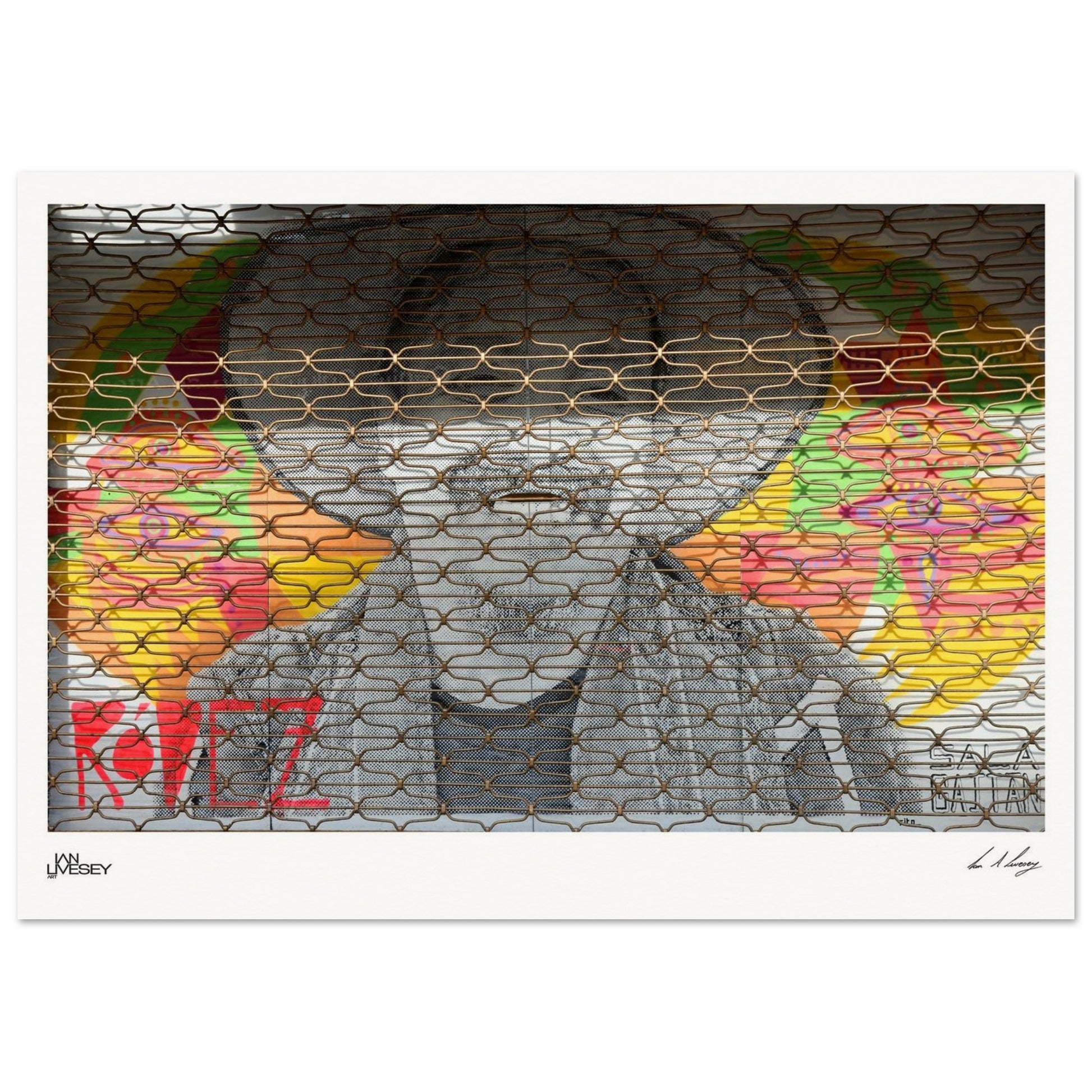 dd0706f2-72b4-4948-9b6f-6a56c47972ec