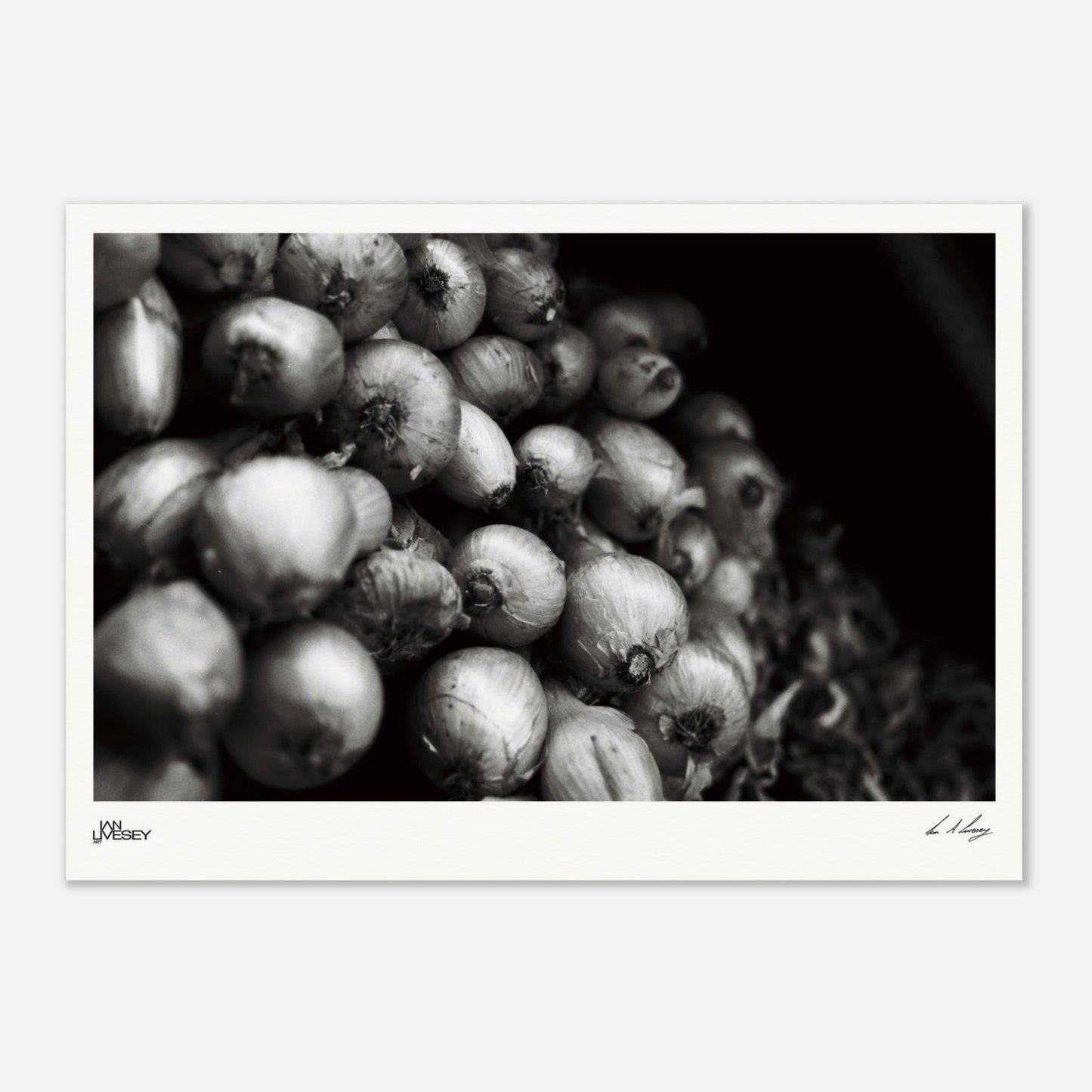 e95b9f48-3293-471b-96eb-e8eac0972fb2