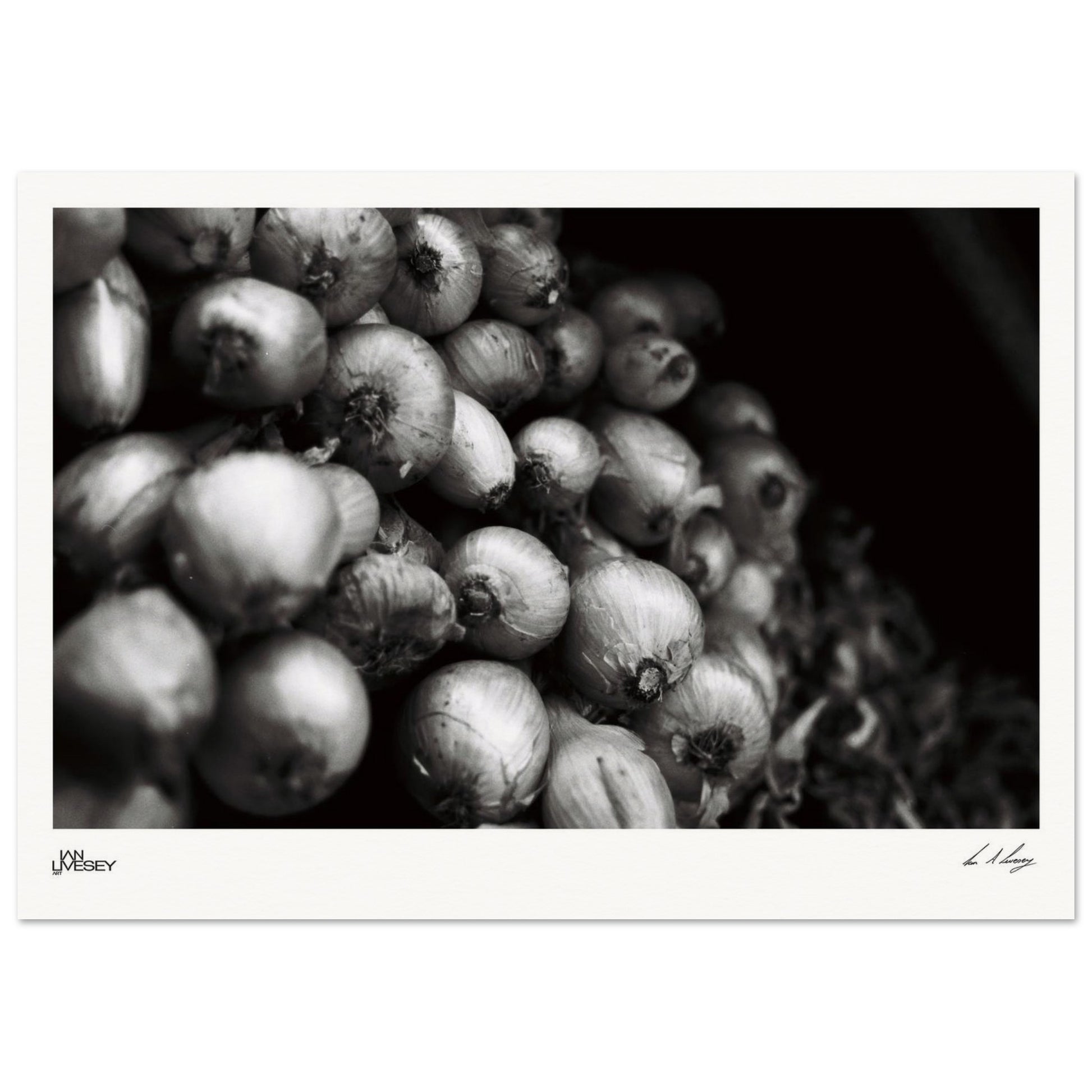 ee9ded86-1a94-4218-97ce-20d7252e1cef