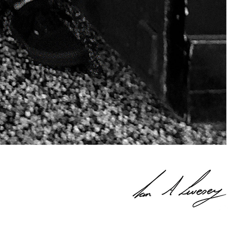 Erin O'Connor sat by the Window looking to Camera - Limited Edition Prints